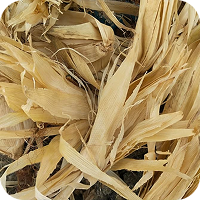 Corn Husk / Germ