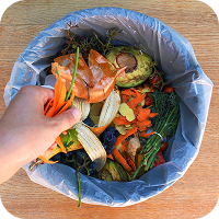 Organic Waste