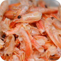 shrimp waste