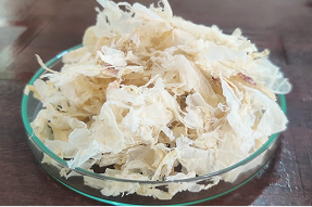 chitin-flakes