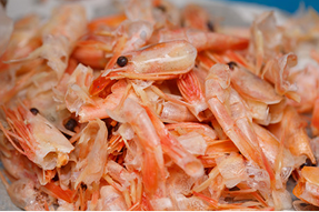 cooked-shrimp-heads-and-shell