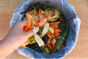organic-food-waste