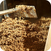 spent grains