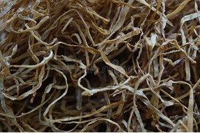 tobacco-fiber