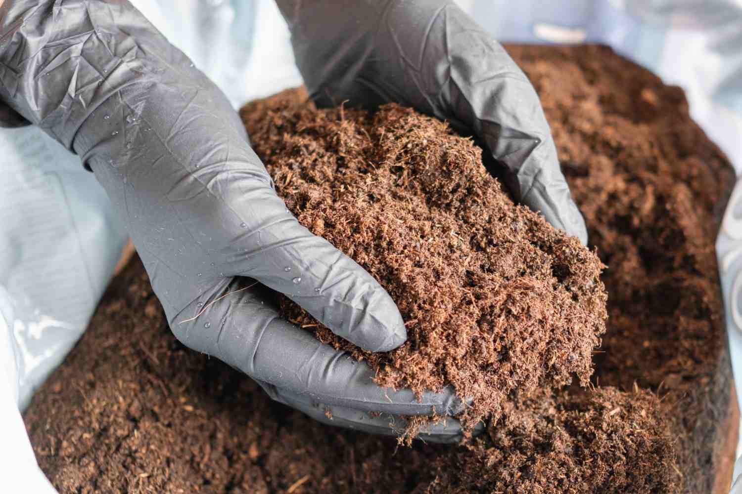 Coco-peat-Dewatering