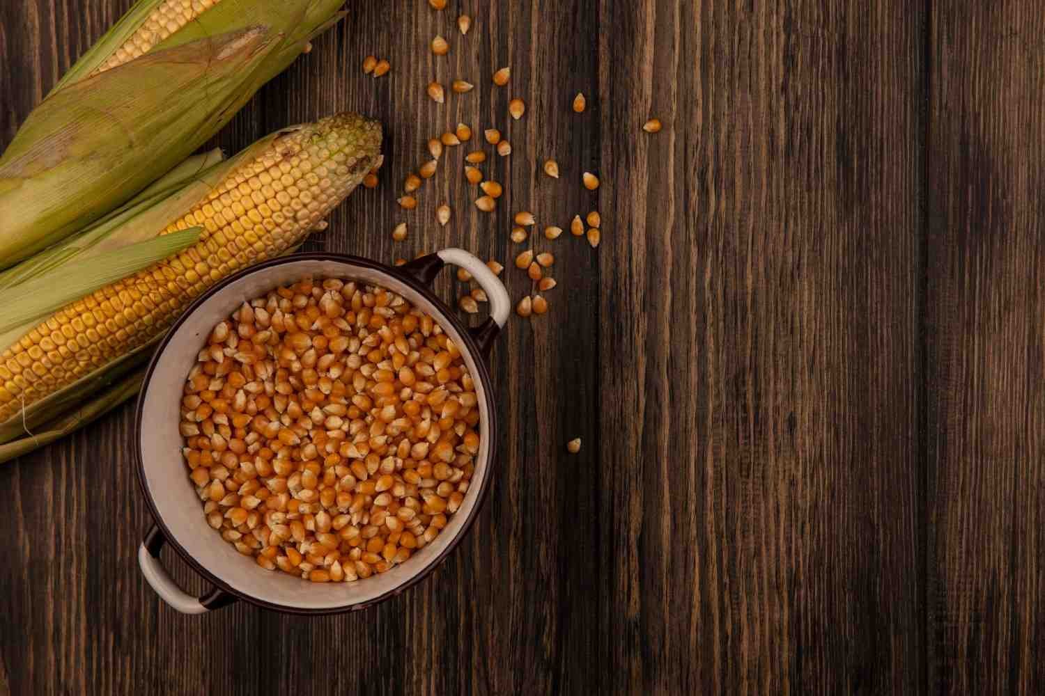 Corn_Germ_Dewatering