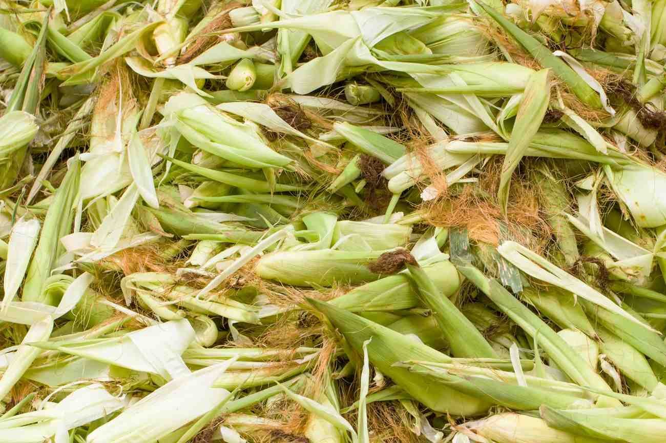 Corn_Husk_Dewatering