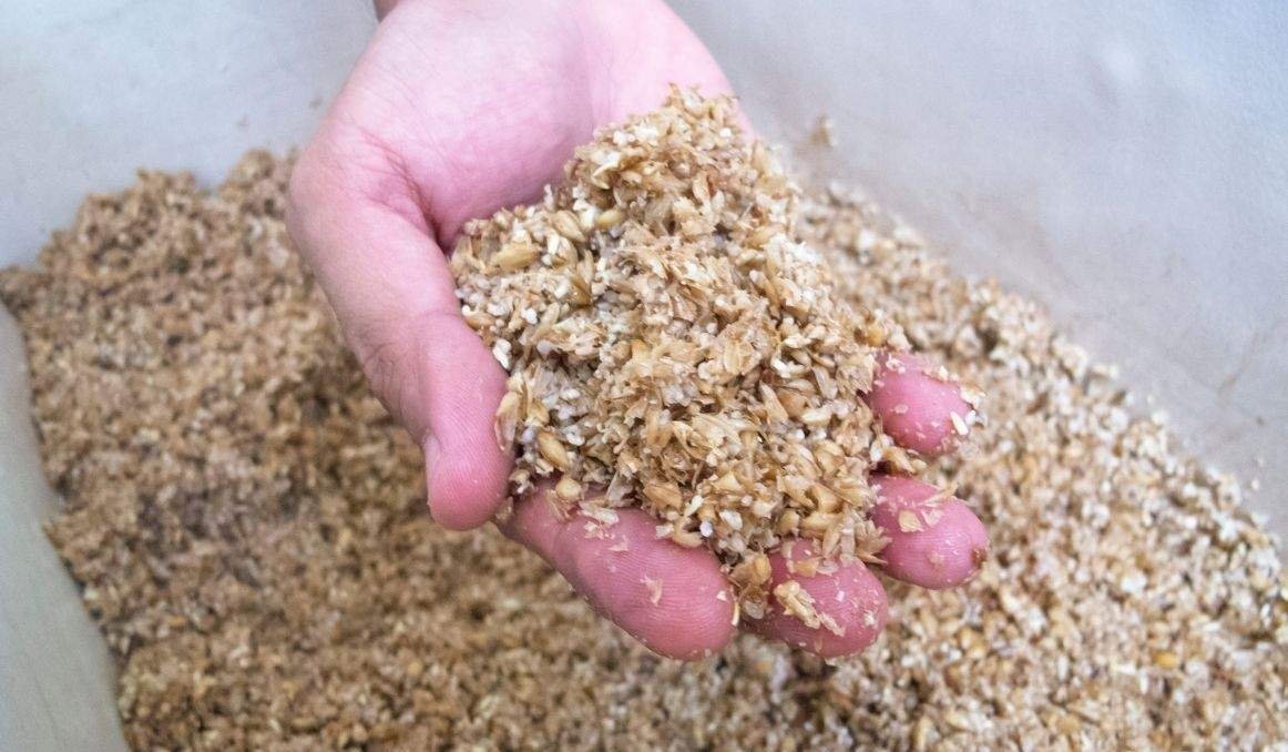spent-brewer-waste-dewatering